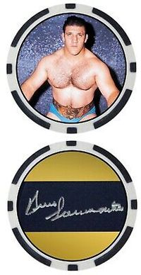 Bruno Sammartino - WRESTLING LEGEND - POKER CHIP - ****SIGNED/AUTO*** | eBay