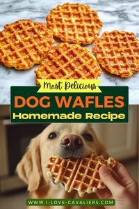 If you're looking for a fun twist on homemade dog treats, try making dog-friendly waffles! These easy dog waffle recipes are a great way to treat your pup to something special. Made with wholesome ingredients, our waffle treats are both healthy and delicious! Click to discover how to create this simple and nutritious dog treat today!