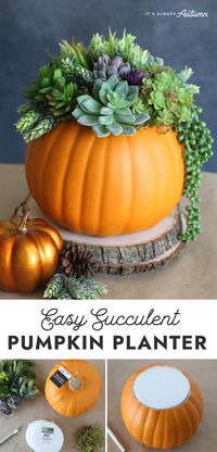 Make a gorgeous pumpkin succulent planter for your fall table. This easy DIY version uses realistic looking faux plants and a faux pumpkin so it will last for years!