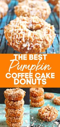 Pumpkin Coffee Cake Donuts - Delightful E Made