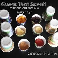 Guess that scent! DIY sensory play all about the sense of smell! Great for a tot school or preschool theme unit on the 5 senses.