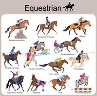 Equestrian