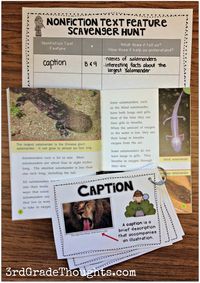 Teaching nonfiction text features using a "scavenger hunt"-style game keeps it engaging and encourages students to think of how and what the text feature teaches them.