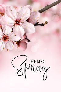 What are you looking forward to this spring? The sun? The weather? Flowers? A new home?   What are you excited about?