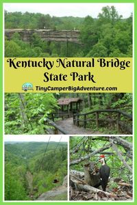 The hiking trails at Kentucky Natural Bridge state park are among the most beautiful in the state! If you are looking for adventure and a place to get back to nature, check out all the things to do at Natural Bridge. It's located near to other beautiful places like the Red River gorge and other parks. #Kentucky #hiking #stateparks #roadtrip