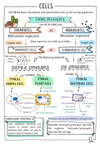 Topic 1: Key Concepts In Biology (Edexcel 9-1) eBook (individual copy) — Doctor Me Clever 784541197570131431 | Science notes, Nursing school notes, Biology notes