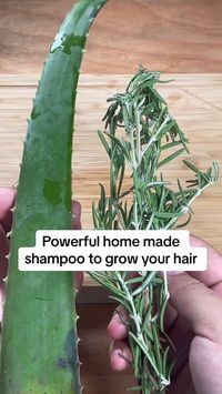 Here's how you can make homemade shampoo with just rosemary and aloe veraThis DIY Shampoo recipe for hair growth will improve your hair healht in no timeIf you want to learn more DIY shampoo recipes as a hair fall remedyvisit my blog at sashashairopshub.com Video Credit@toprecipes.1 hairgrowth hairloss diyhairshampoo hairloss