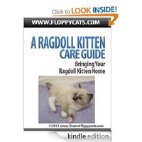 A Ragdoll Kitten Care Guide: Bringing Your Ragdoll Kitten Home  http://amzn.to/RhQl55 $9.99