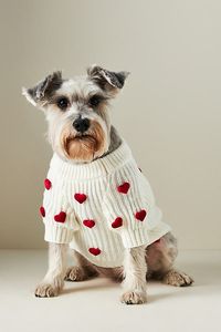 Dress your furry friend in style with this so sweet and soft sweater. Adorned with 3D hearts, it adds an extra dose of love to your pet's wardrobe. 3D Motif Pet Sweater in Beige, Size: XS, Acrylic