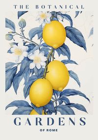 Elevate your space with the serene beauty of our 'The Botanical Gardens of Rome' poster. Capturing the delicate interplay of lemon branches and blossoms, this artwork embodies the tranquil essence of nature.