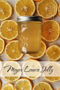 All the delightful taste of Meyer lemons is bottled up in this Meyer Lemon Jelly recipe.  Serve it on toast, or eat it with a spoon-- either way it's delightful!