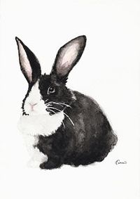 Bunnies Wall Art - Painting - Black And White Bunny by Kathleen Wong