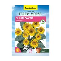 Ferry-Morse 150MG Sunflower Topolino Annual Flower Seeds Packet - Seed Gardening, Full Sunlight - Walmart.com