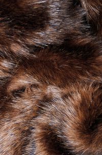 Bear Faux Fur