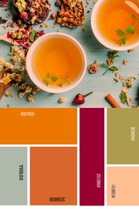 #colorpalette #palette #color #colorscheme #colorswatch #colourpalette #colorinspiration #inspiration #graphicdesign #branding #design #hexcode