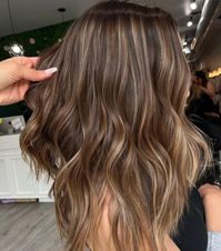 Walnut Brown Hair with Thin Blonde Highlights