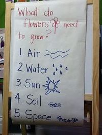 TK TSGI Sensory and Communication Preschool: What do plants need to grow?