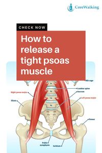 Understand the significance of the psoas muscle and apply that to improve your overall health. Go from daily suffering to a lifestyle and freedom you thought was lost forever.