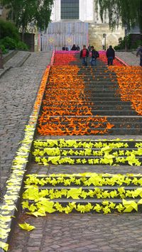 New Origami Street Art in Angers, France by Mademoiselle Maurice street art paper origami multiples installation France