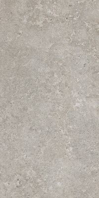 Excellence Grey tile 597x297 mm