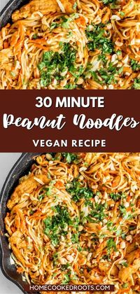 This Vegan Peanut Noodle Stir Fry is a great takeout style dish that takes just 30 minutes to make and is done with the easiest at-home spicy vegan peanut sauce. All you need is 11 ingredients, including udon noodles, soy curls, shredded cabbage, and carrots.