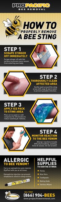 Properly Remove & Treat A Bee Sting - Infographic