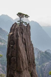 Awesome how this lonely tree managed to grow on the top of the mountain. Seems  as if the rock's actually just there to hold the plant. __ HuangShan Mountains 39