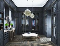 Walk in Closet DéCor Options You Should Consider