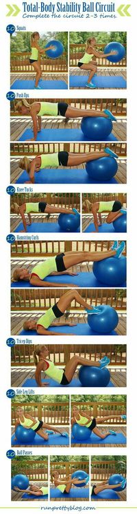 Total body stability ball circuit