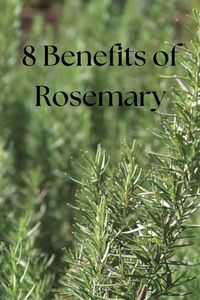 These are the top 8 reasons to start taking rosemary today. Rosemary offers a range of powerful health benefits. It helps reduce the risk of Parkinson's and Alzheimer's by boosting brain health and circulation. The herb stimulates digestive enzymes, promoting better nutrient absorption, and removes harmful bacteria from the gut, supporting overall digestive health. Additionally, rosemary inhibits the growth of Helicobacter pylori, a bacteria linked to stomach ulcers. It also improves fertility by supporting hormonal balance and boosts overall reproductive health. Rosemary helps lower insulin levels and supports healthy blood sugar regulation, making it a great addition to any wellness routine. Click on my Amazon Associate link to get your rosemary supplement!