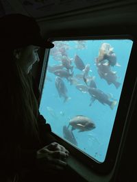 Catalina Island, Submarine ride, Fish, Travel, Weekend Getaway, Explore, Under the Sea