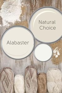 Sherwin Williams Natural Choice vs Alabaster (Which to Choose?) - Mod & Mood