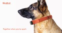 Nuzzle: A GPS Tracking Pet Collar, App and Insurance http://www.floppycats.com/nuzzle-a-gps-tracking-pet-collar-app-and-insurance.html