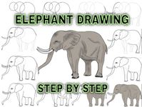 elephant drawing for kids easy baby elephant drawing step by step cartoon elephant drawing colour learn cute Indian elephant drawing