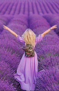 Lovely Lavender