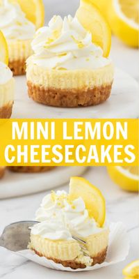 Mini Lemon Cheesecakes - creamy lemon cheesecake on top of a golden oreo crust. Perfect dessert for spring and summer!