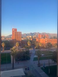 University of Arizona Campus | College Life | Tucson, Arizona | IG: zsalinichka