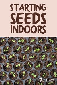 Are you thinking of starting seeds indoors? Follow these tips to make sure you are successful in doing so each and every time!