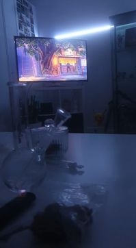 #lofi #bong #vibe #chill