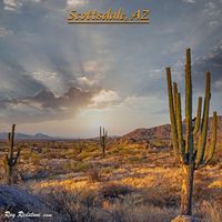 Desert Landscape image near sunrise time with mountains & cactus. #saguarocactus #desert #arizona #cacti