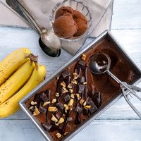 Ace Blender - Chocolate Banana Ice Cream - Instant Pot Recipes