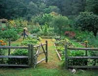 Casual Kitchen Garden