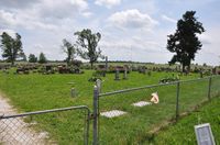 Slagle Cemetery Polk County Missouri Find A Grave - Millions of Cemetery Records and Online Memorials