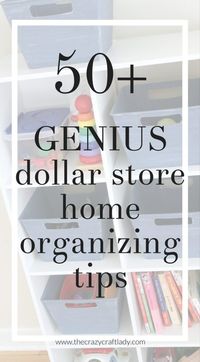 How to organize literally everything in your home with dollar store supplies - the best dollar store organization ideas. #dollarstore #organize #dollarstoreorganizing #getorganized