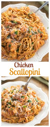 Thin Spaghetti tossed in a thick tomato gravy sauce with white wine and chicken. A quick & easy meal that kids and adults all love to eat!