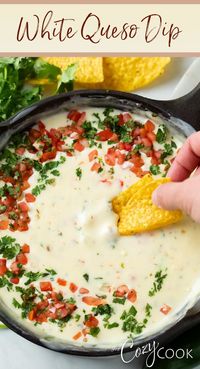 This White Queso Dip is EASY to make in just 15 minutes! It's a great finger food and party snack that works year round. Serve with tortilla chips, or pour in burritos and tacos!