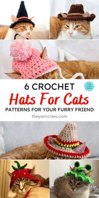 6 Crochet Hats For Cats Patterns For Your Furry Friend. Crochet Patterns For Hats For Cats curated by The Yarn Crew.