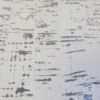 Birch Cork Wallpaper by Designer Wallcoverings - Cork with metallic ink metallic paper backing