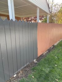 Fence Painting progress