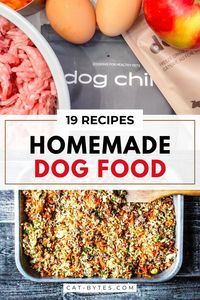 Transform your dog’s diet with our 19 homemade dog food recipes! From crockpot dog food recipes to a comprehensive homemade dog food guide, we provide easy, healthy options your dog will love. You'll learn how to make dog food that’s balanced and nutritious. Click to see the full list and follow us for more dog care tips!